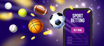 Discover the Excitement of Baji Live